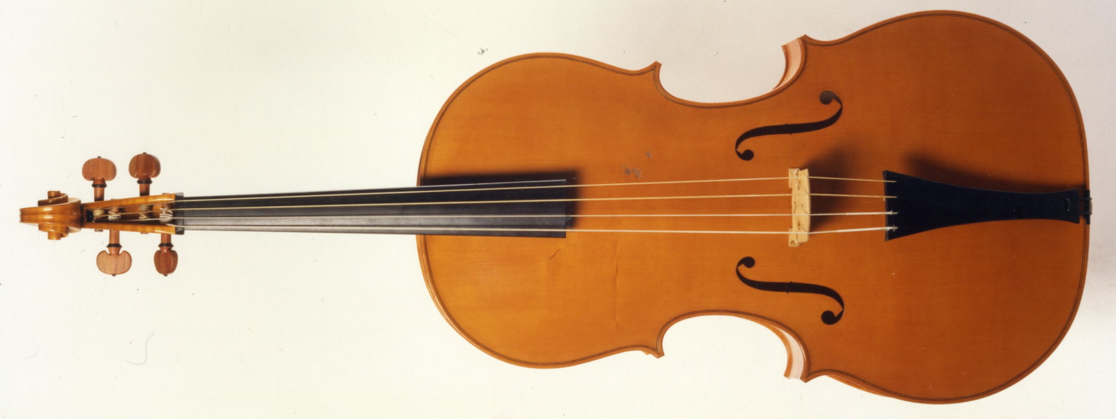 Normal Myal - viol maker